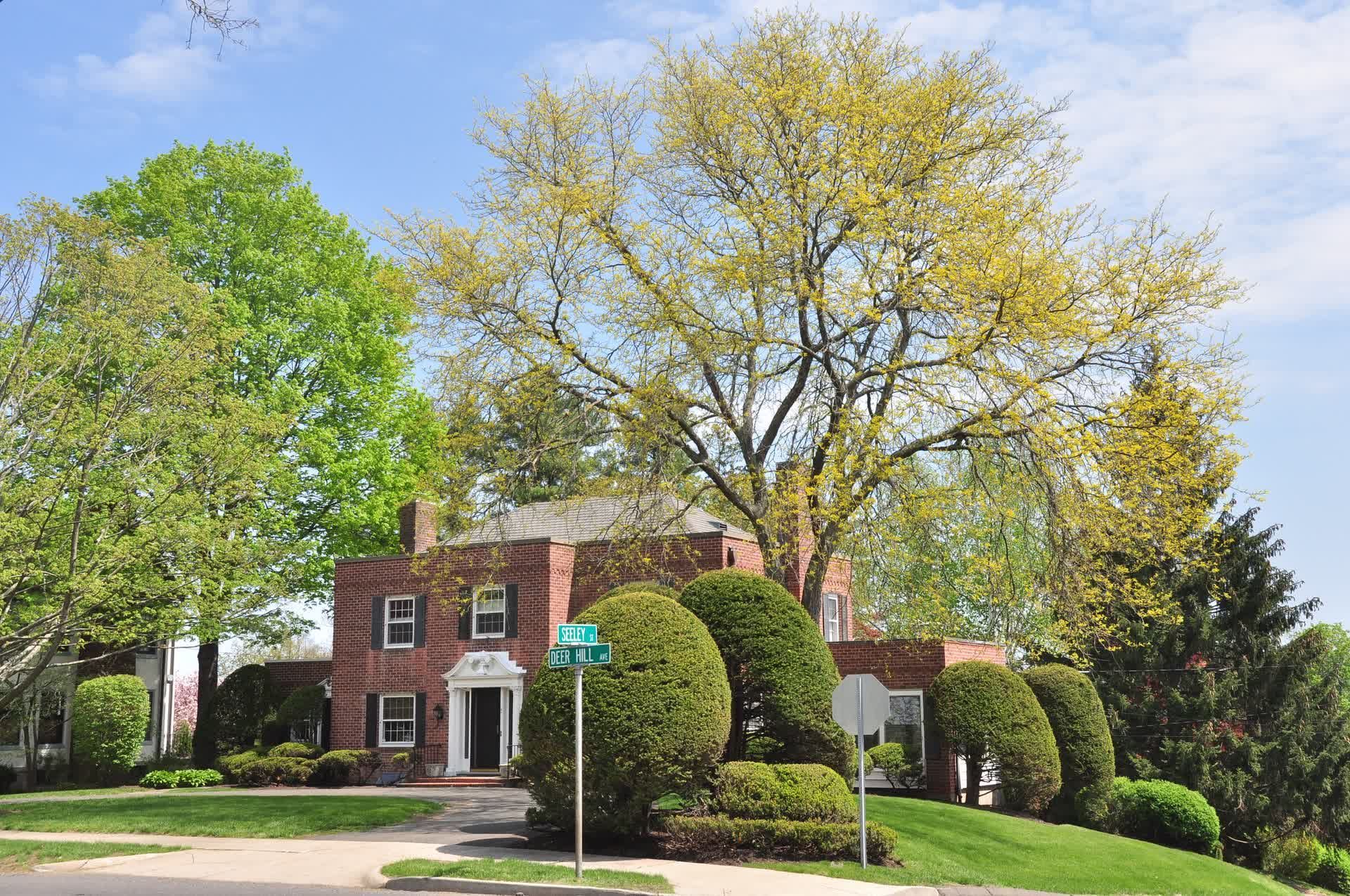 Kingkiner Tree Service