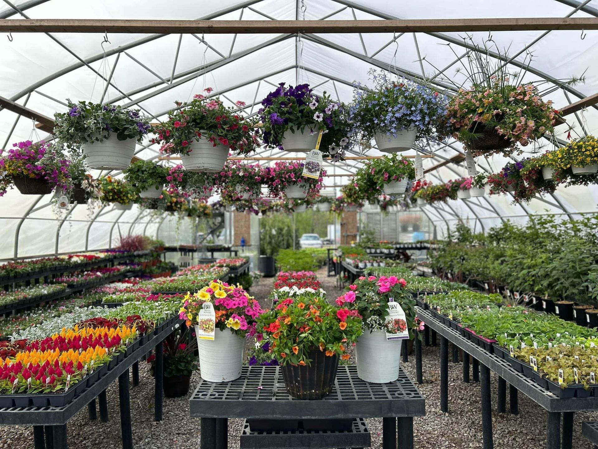 Wilcox Lawn & Landscaping