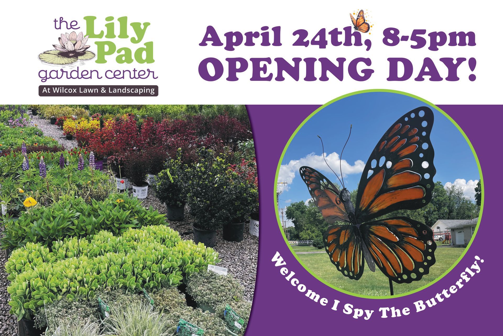 Wilcox Lawn & Landscaping