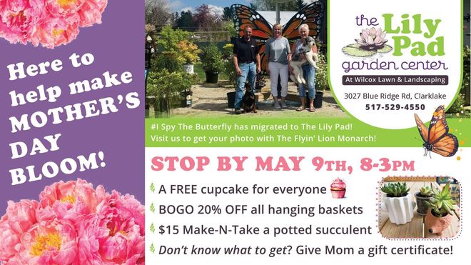 Wilcox Lawn & Landscaping