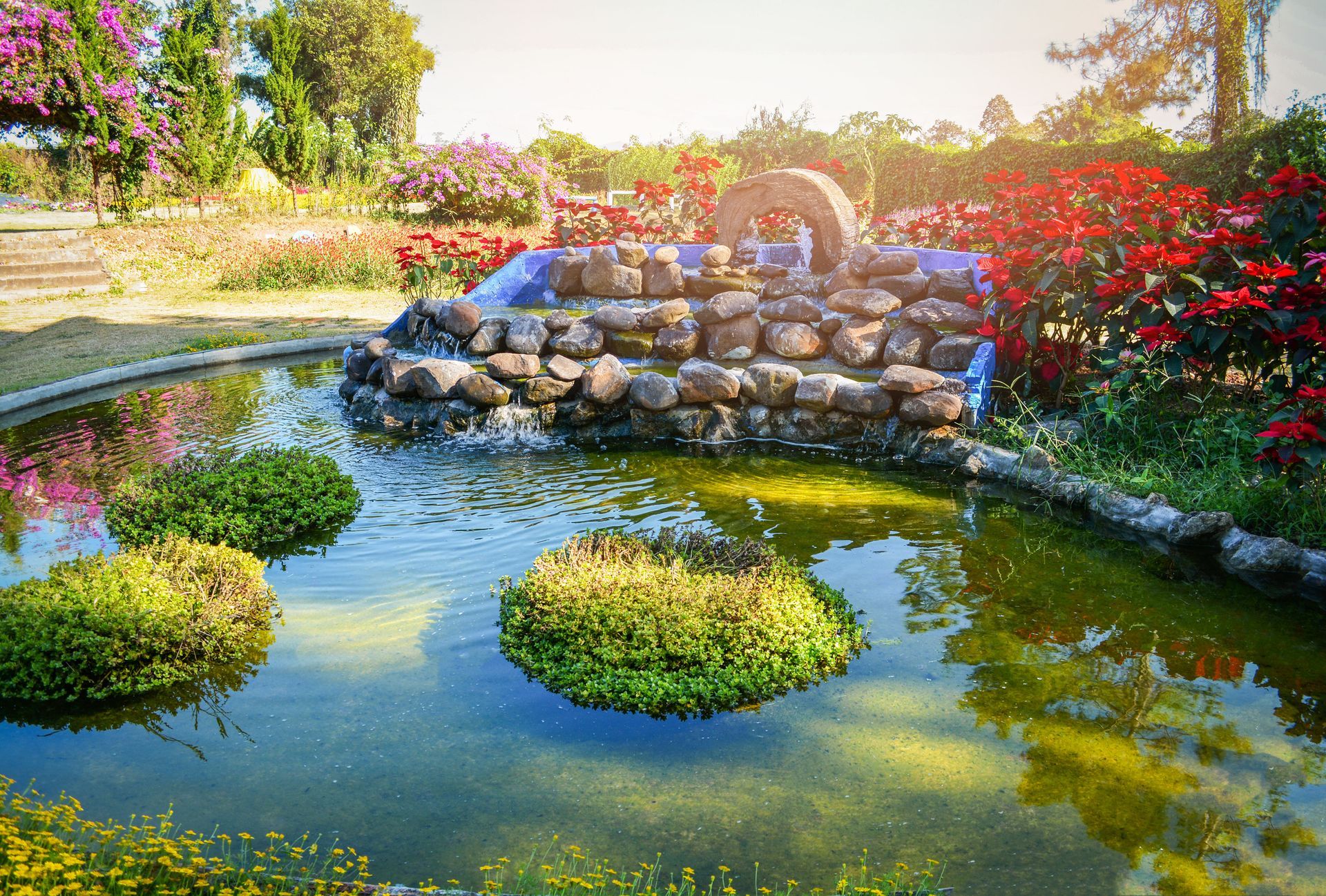 Fountain in a pond, surrounded by lush plants and flowers in a sunny garden.