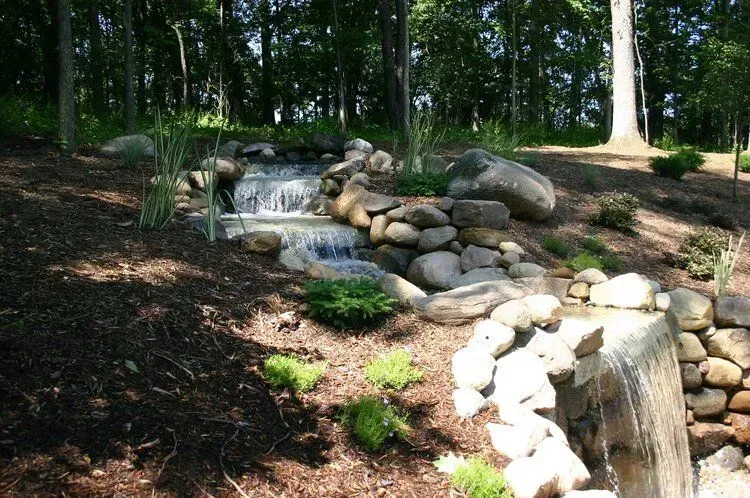 Small waterfall cascading down a rocky hillside in a forest.