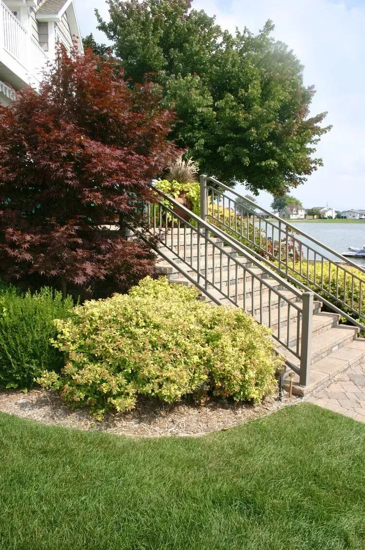 Stone steps with metal handrails leading up to a house, flanked by colorful bushes and trees.