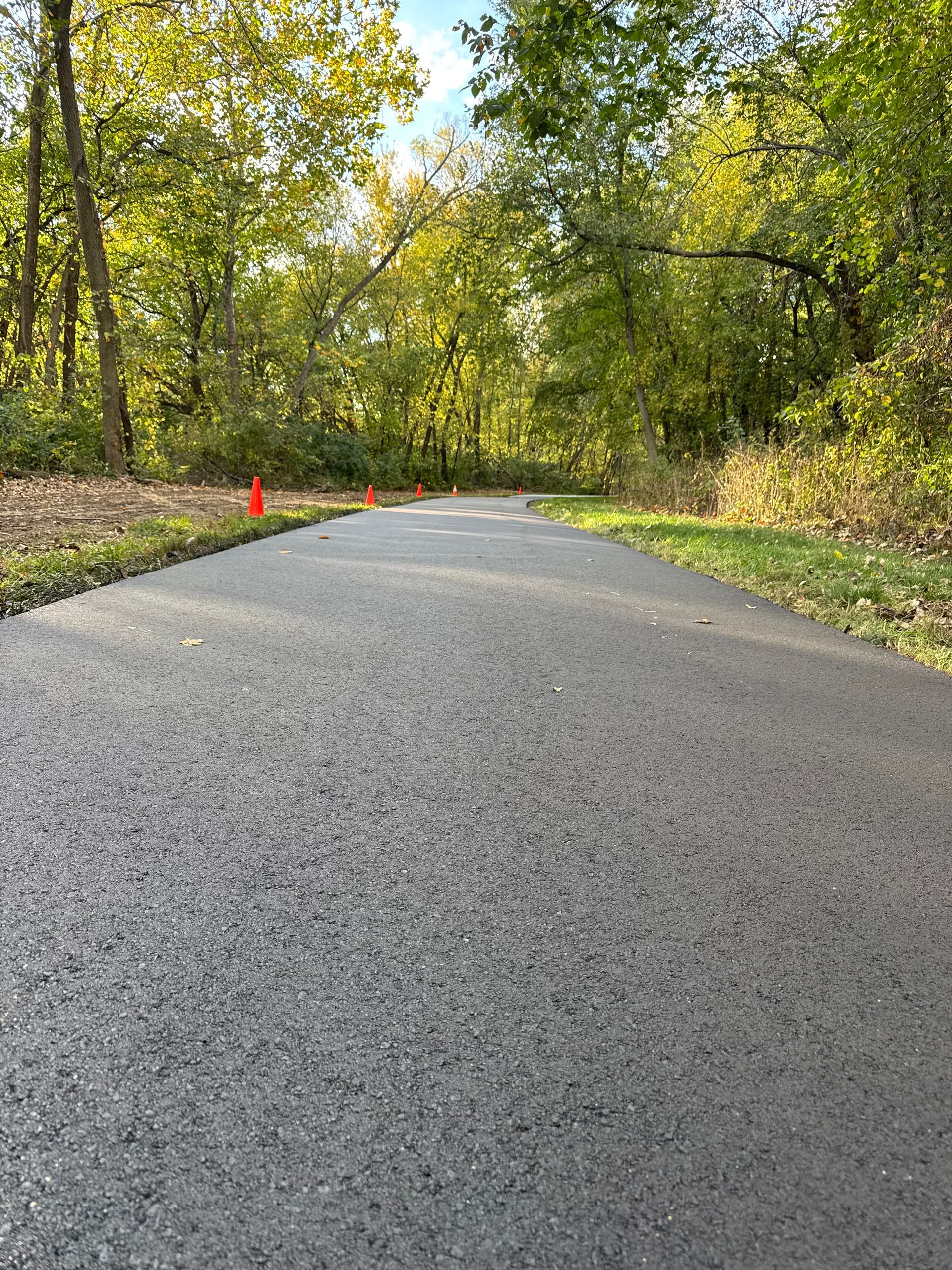 A paved path stretches forward through a lush, green wooded area on a sunny day, with orange safety cones along the side.