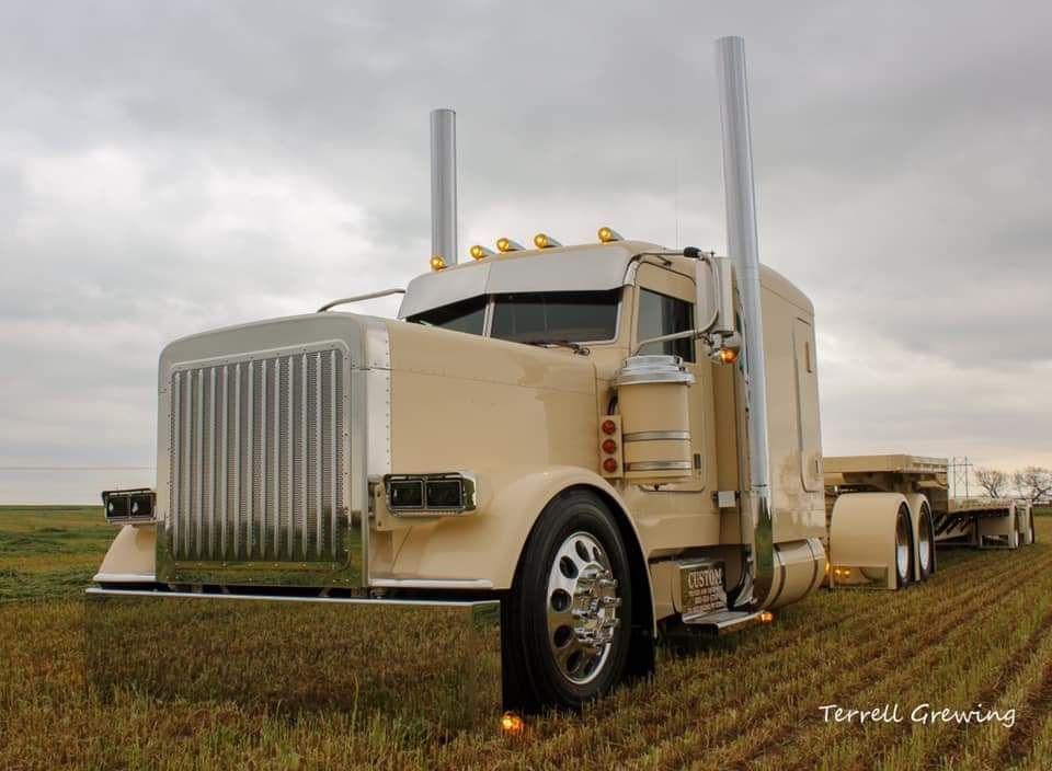 A large semi truck is parked in a grassy field.