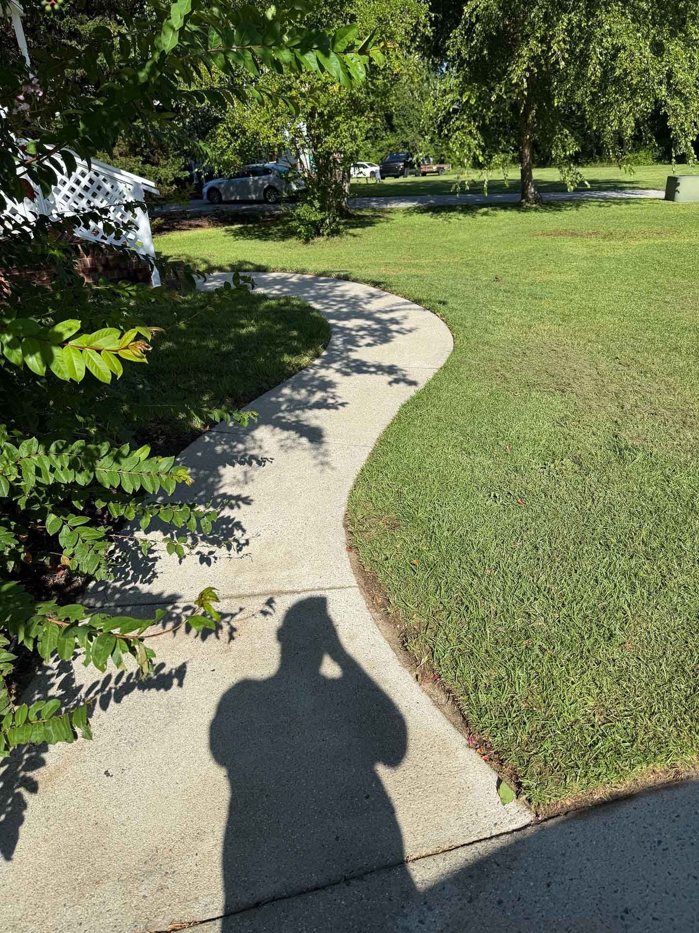 A curved concrete path, surrounded by grass and trees