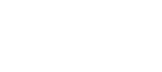 Palenske Complete Construction - logo