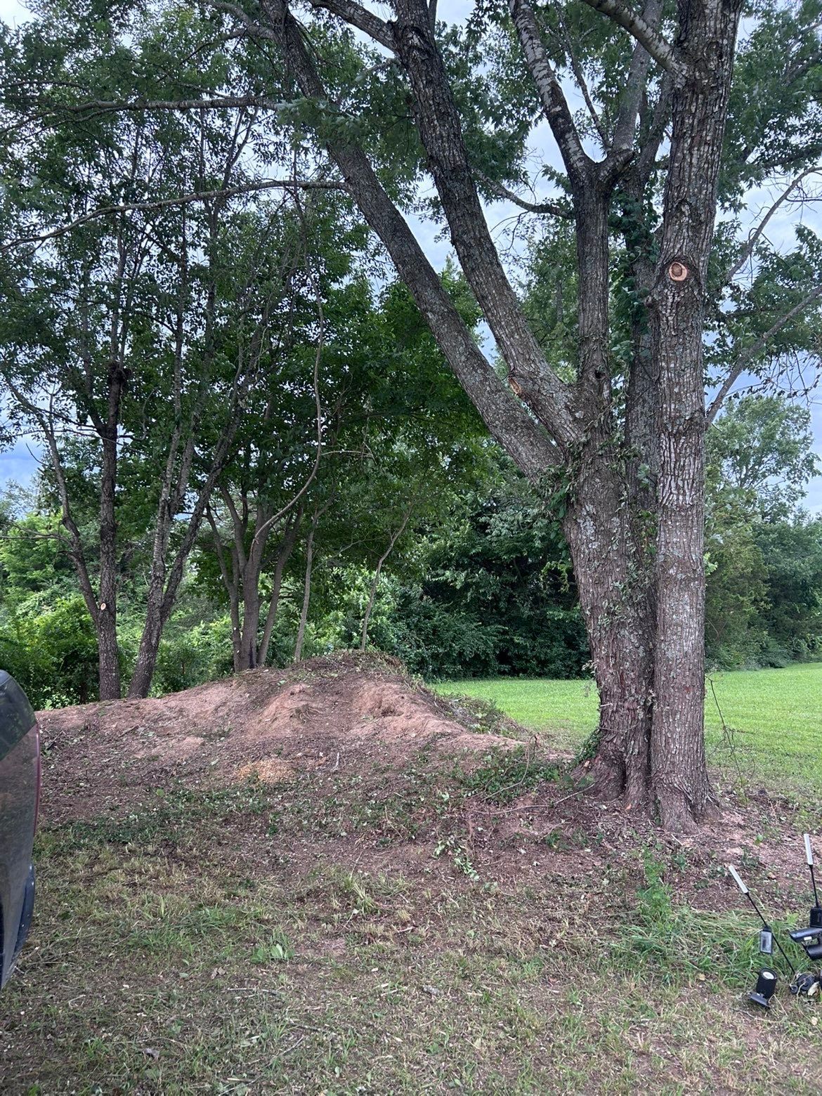 Tree-filled yard with a dirt mound, grass, and a small scooter near the right edge.