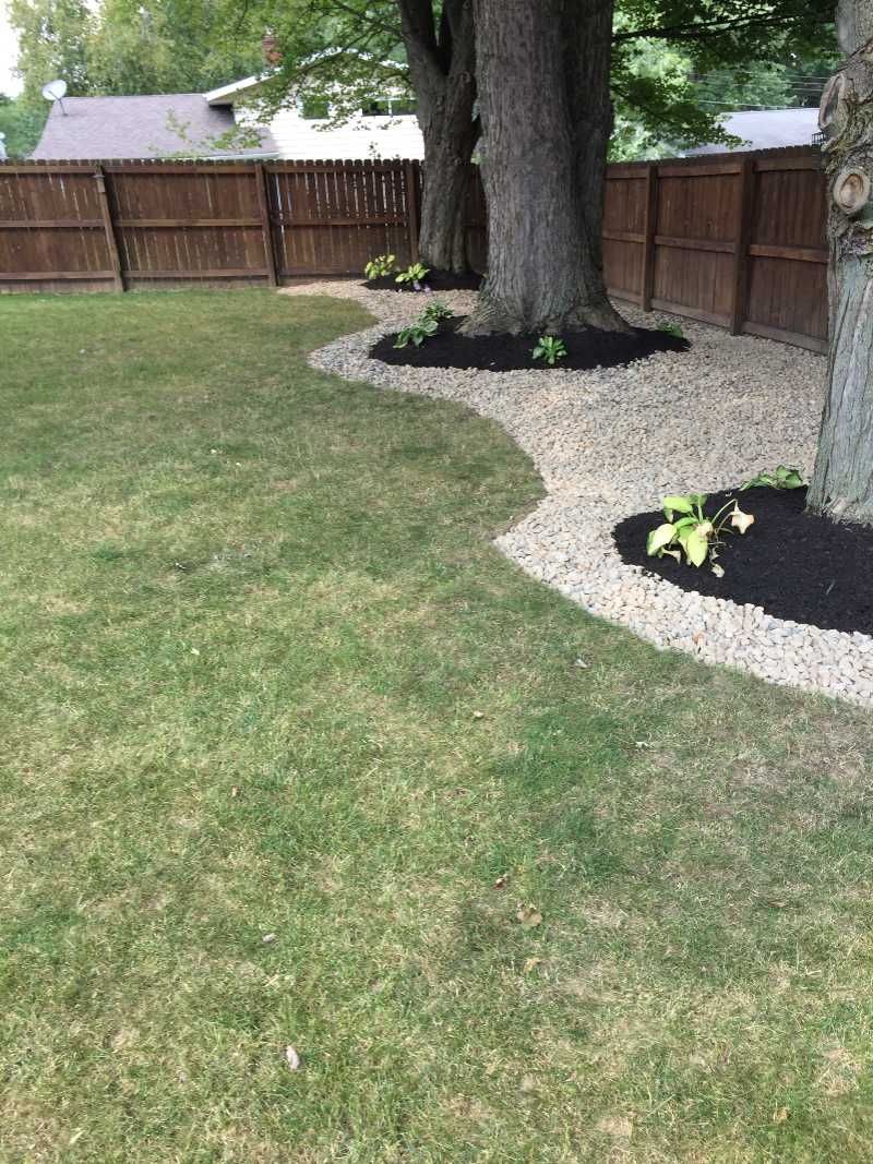 A backyard with a wooden fence and a tree in the middle of it.