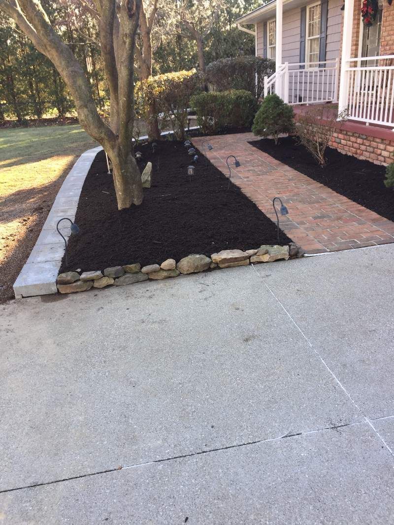 A driveway leading to a house with a tree in the middle of it.