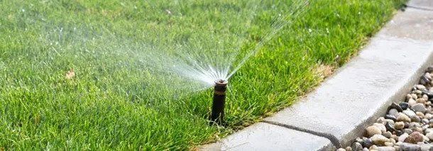 A lawn sprinkler is spraying water on a lush green lawn