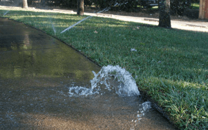 Water leaking on a sidewalk next to a lawn