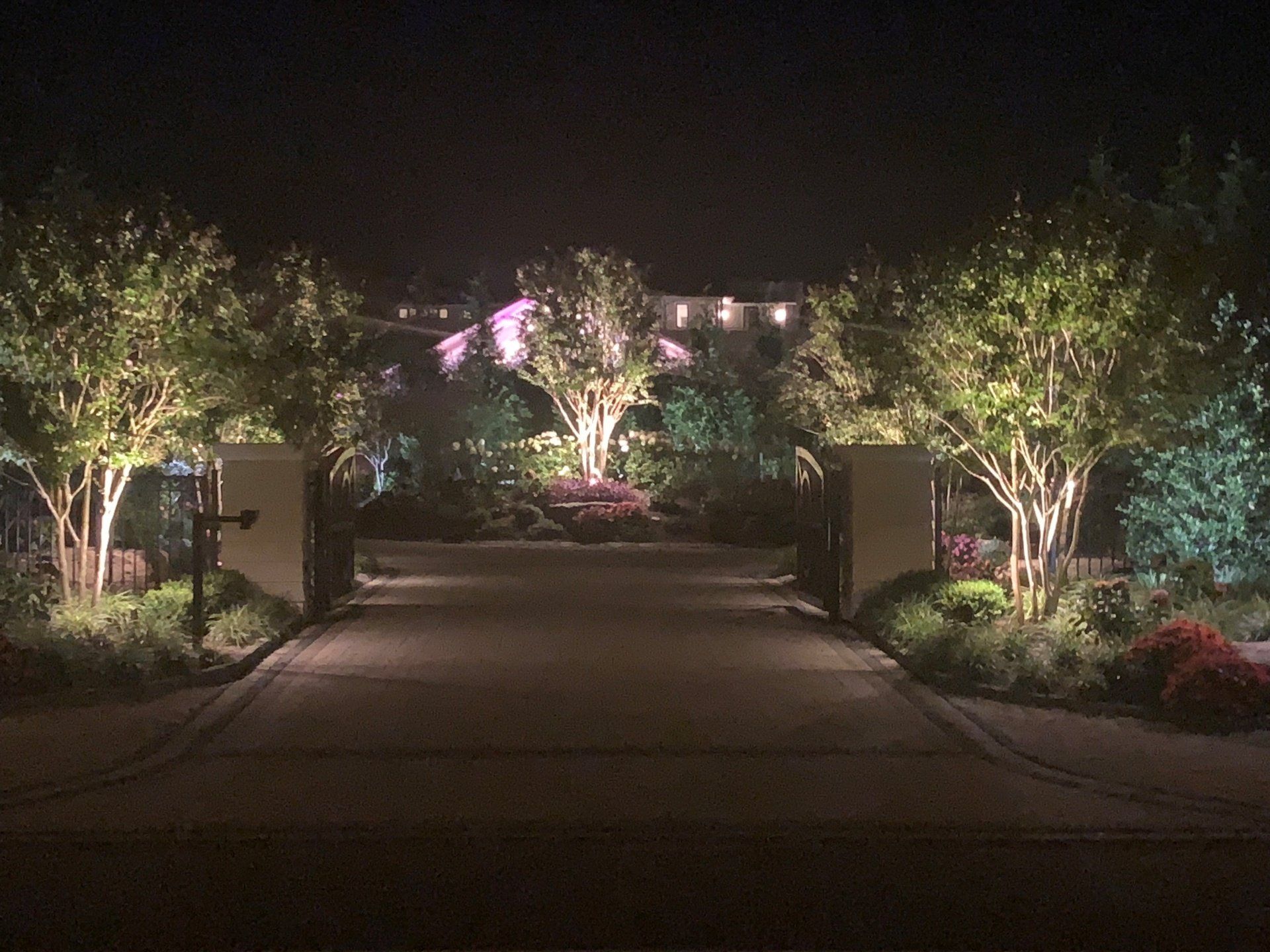 A well lit driveway with trees and bushes