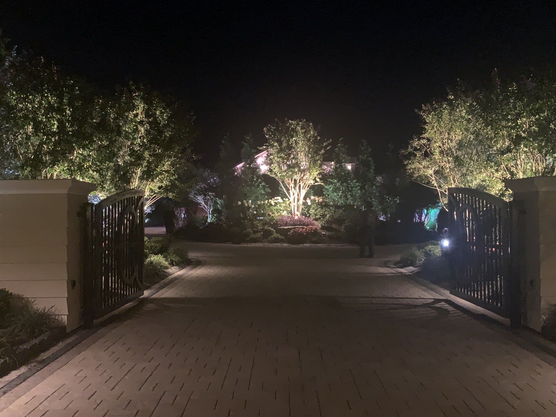 A well lit driveway with trees and bushes