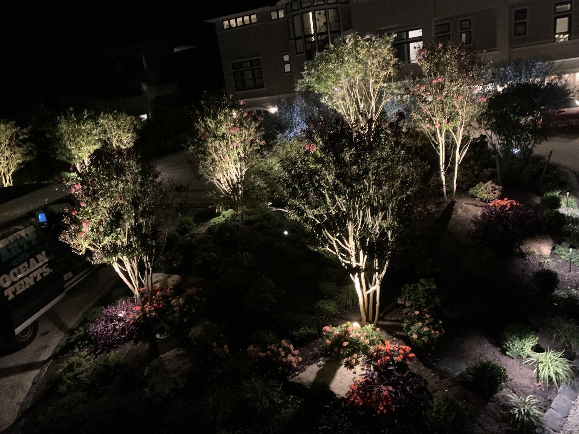 A lot of trees are lit up at night in a garden