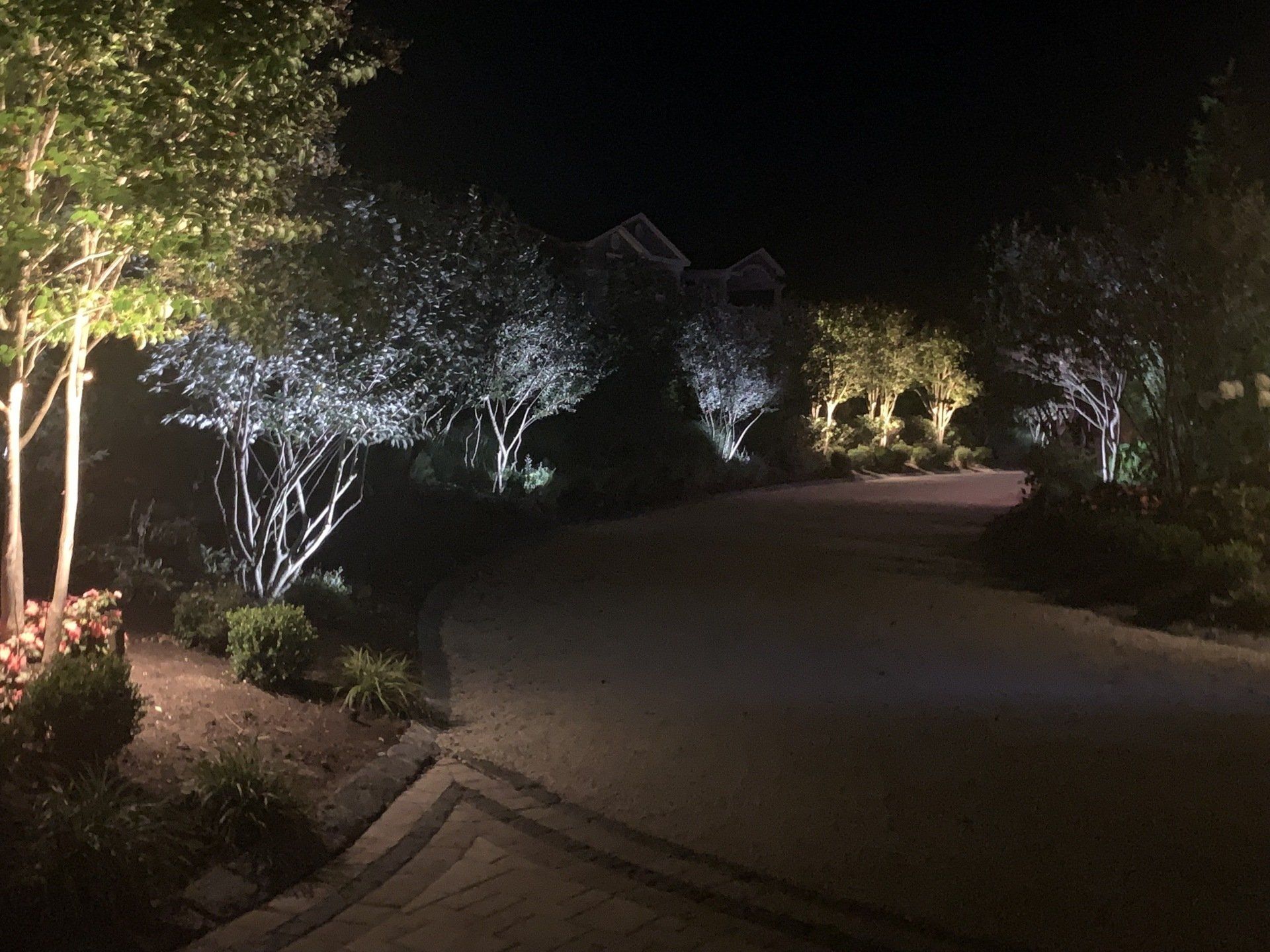 A driveway is lit up at night