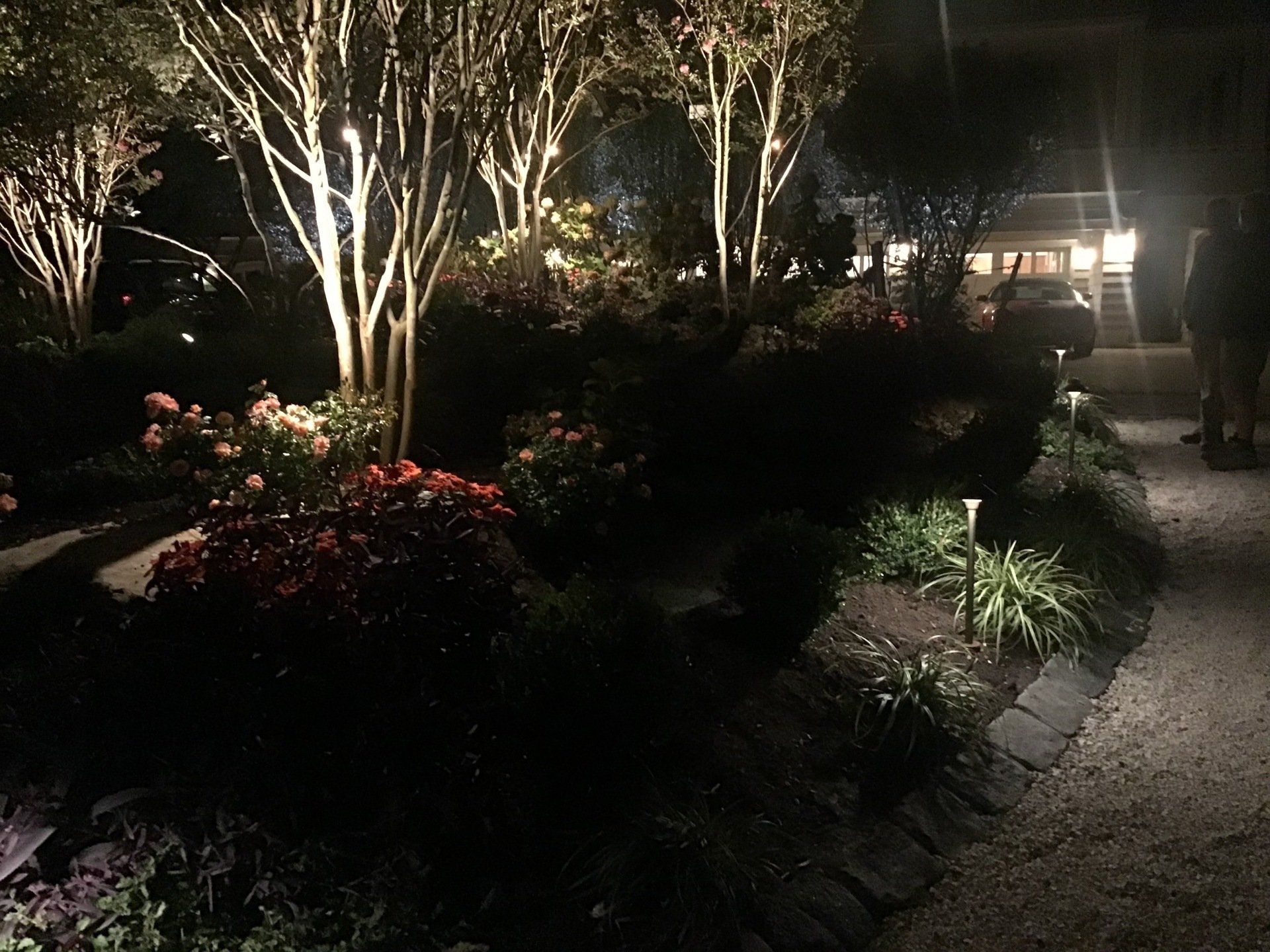 A well lit garden with trees and bushes