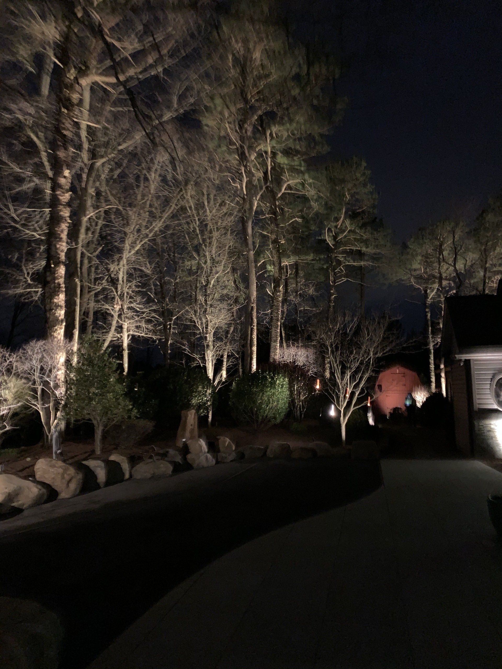 A row of trees are lit up at night in front of a house