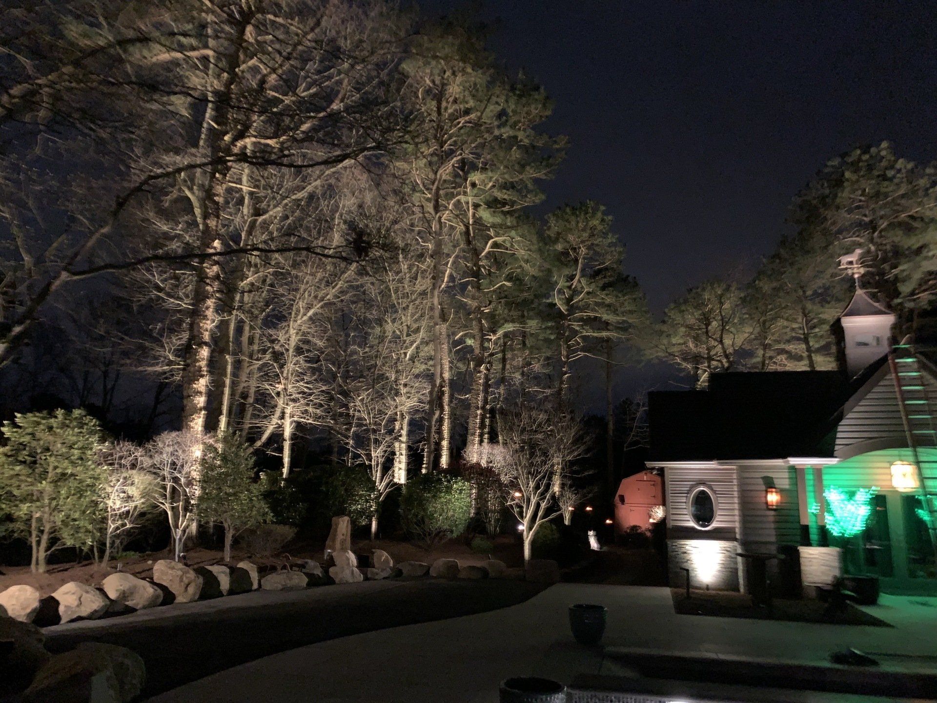 A row of trees are lit up at night in front of a house