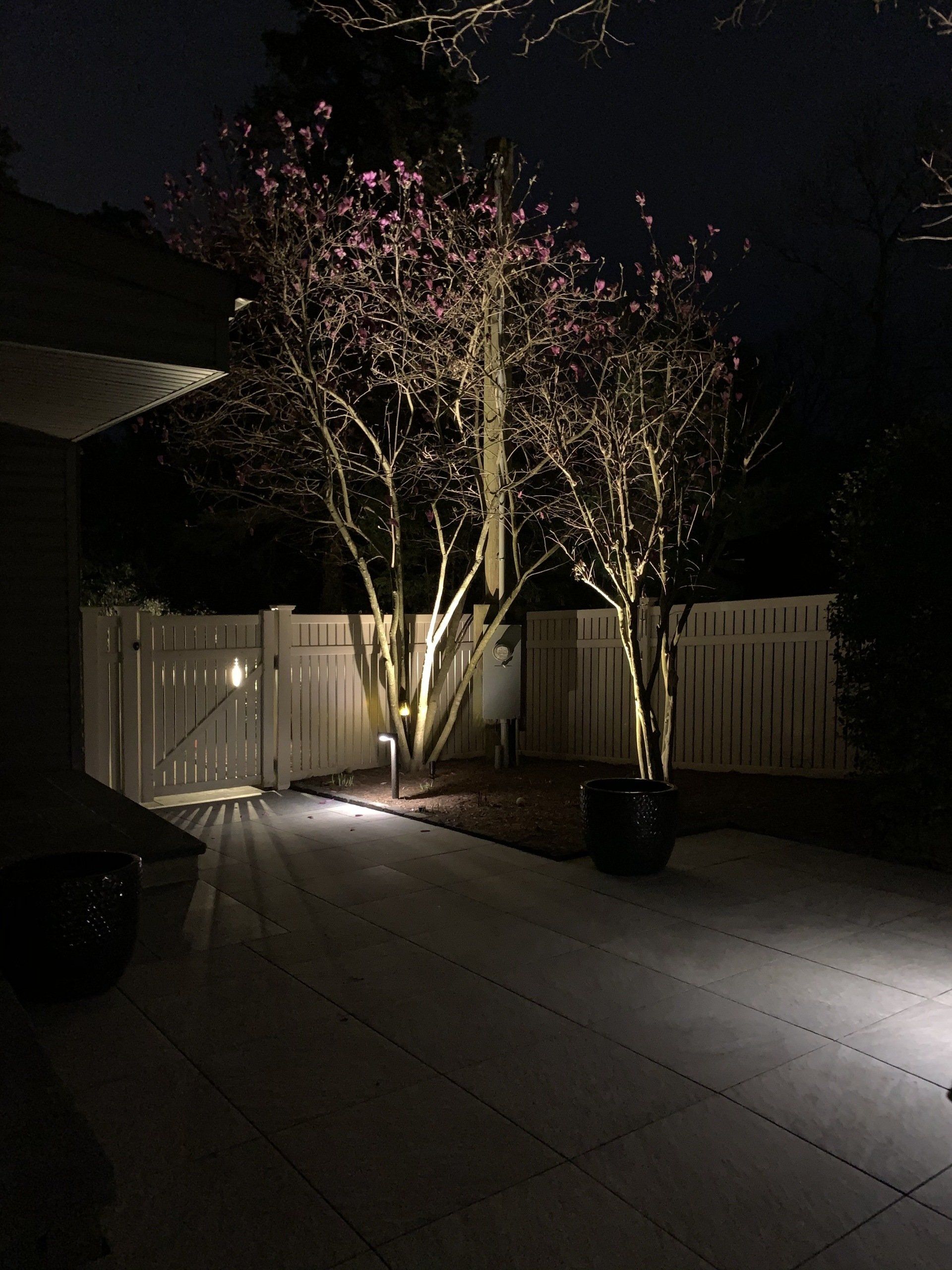 A backyard at night with trees lit up and a white fence