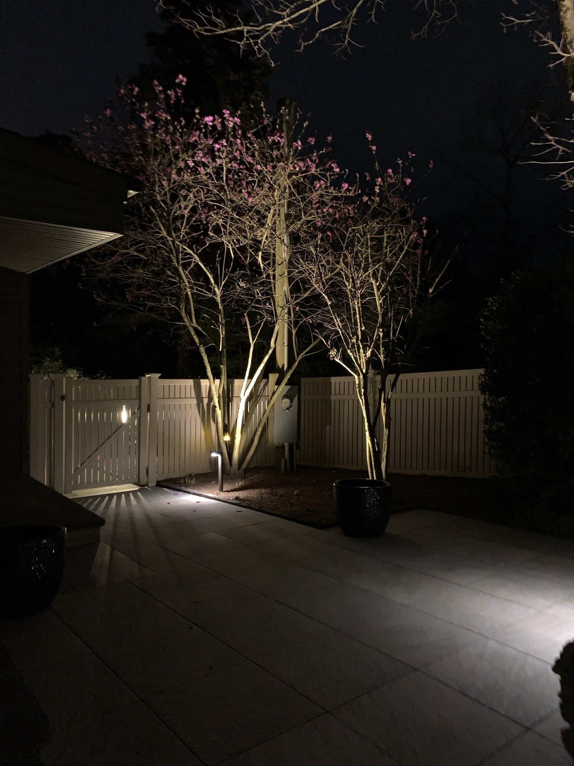 A backyard at night with trees lit up and a white fence