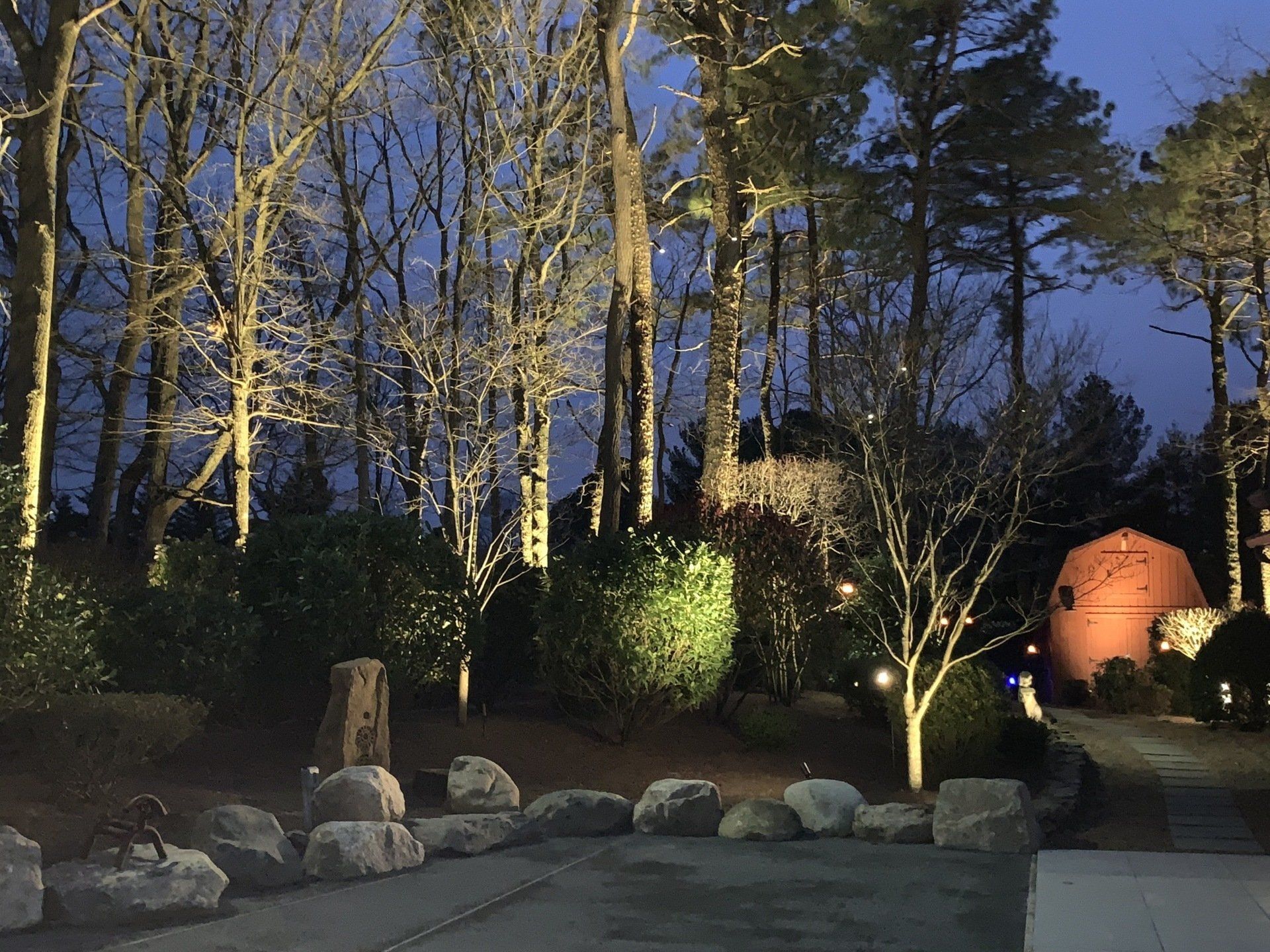 A lot of trees are lit up at night in a park