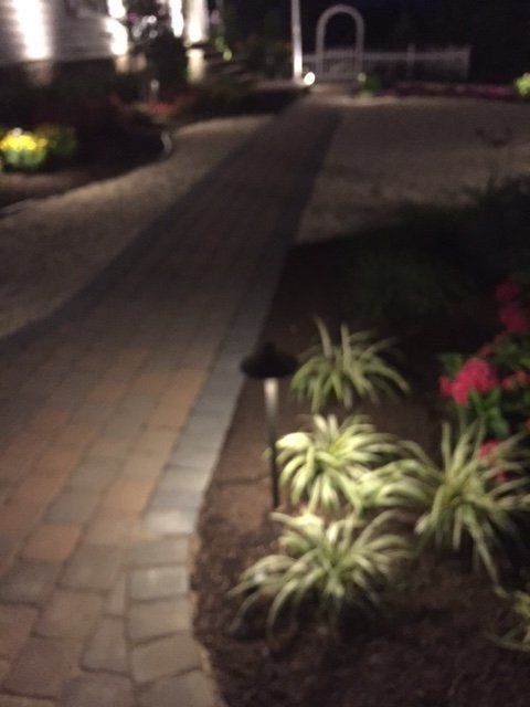 A brick walkway is lit up at night