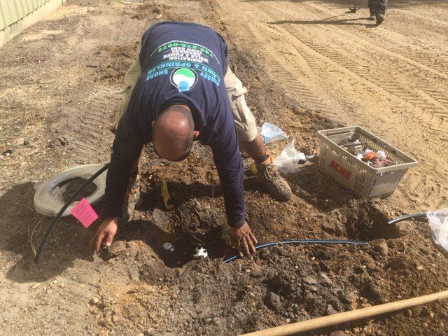 Sprinkler installation