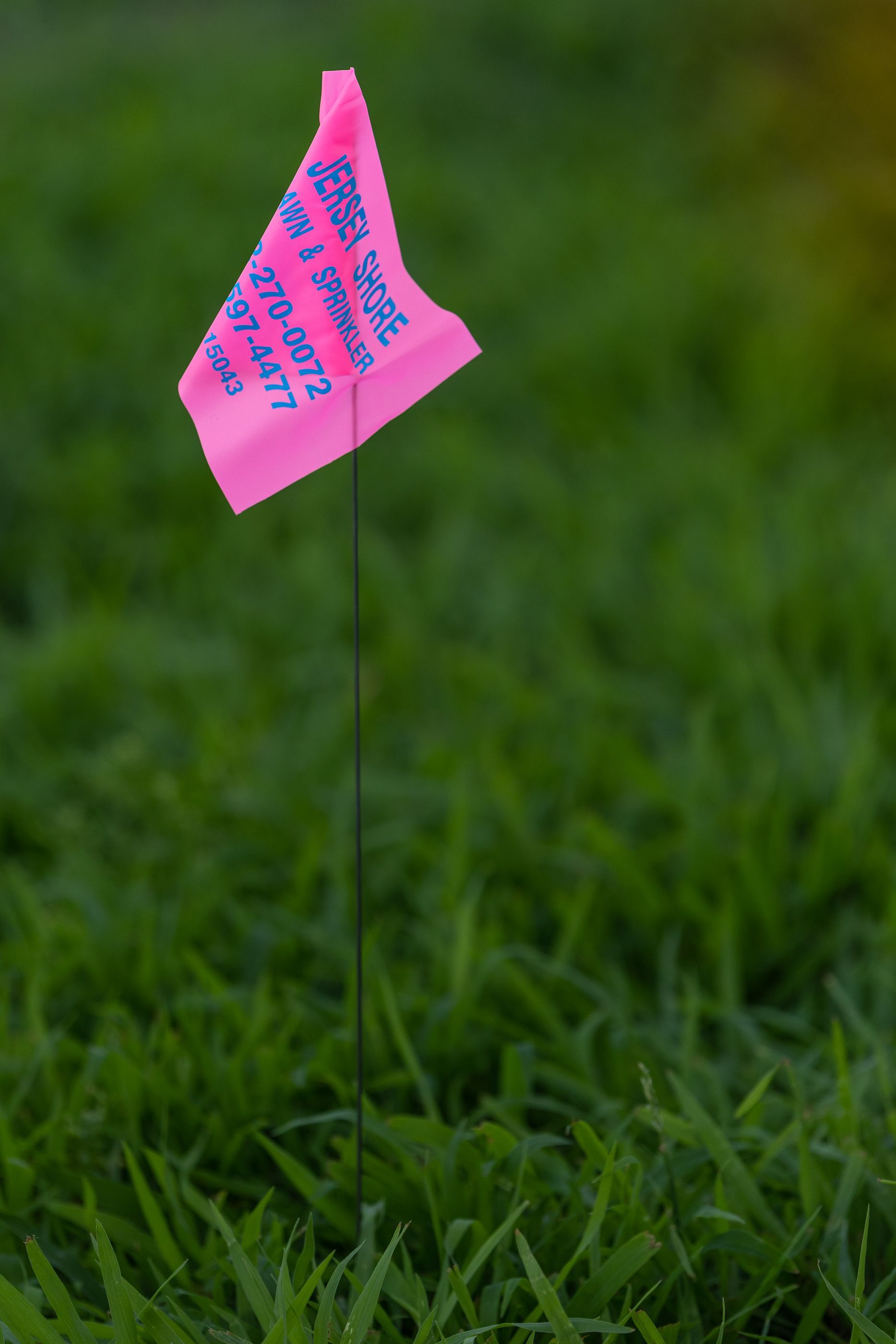 A pink advertisement flag is sticking out of the grass