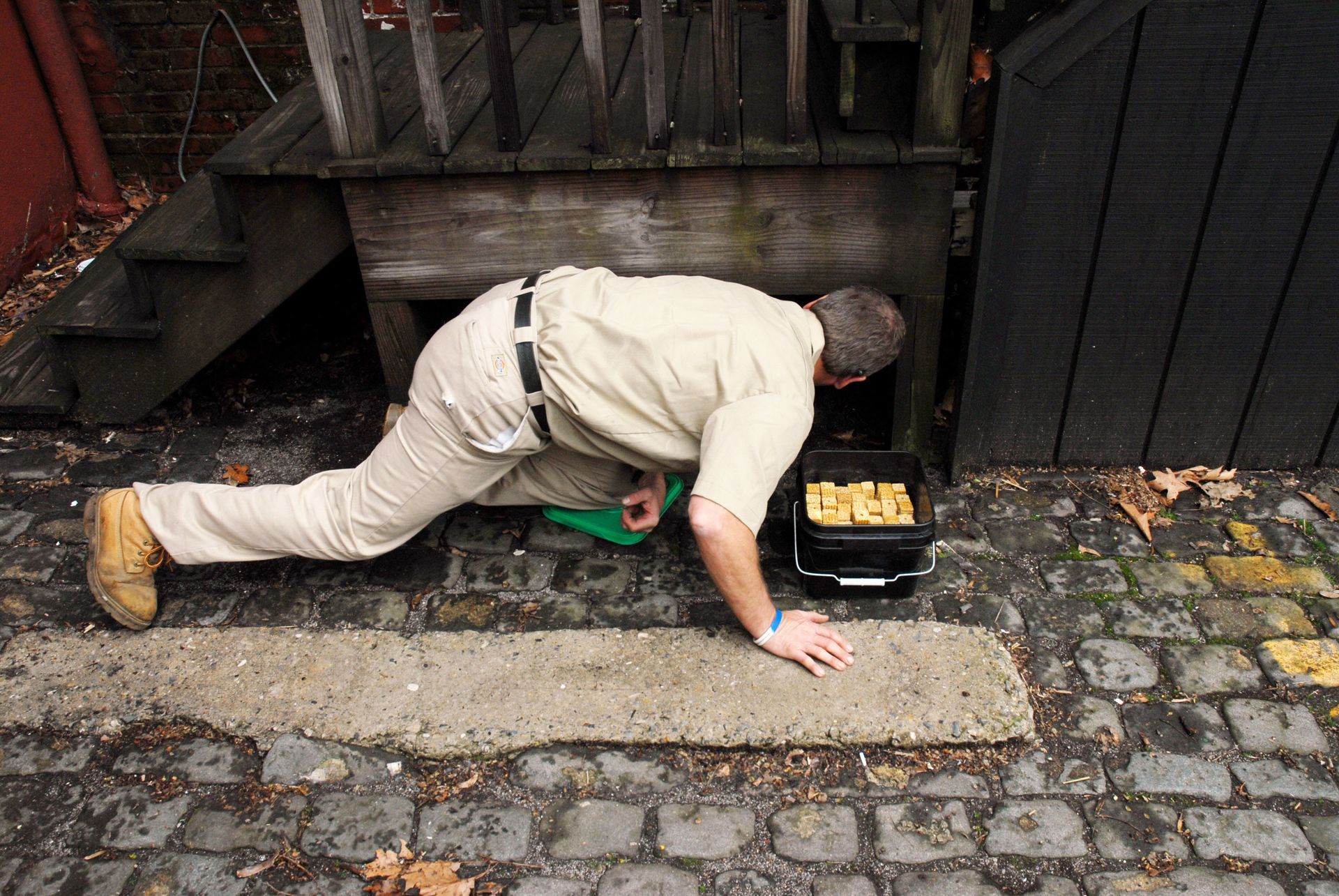 rodent proofing service