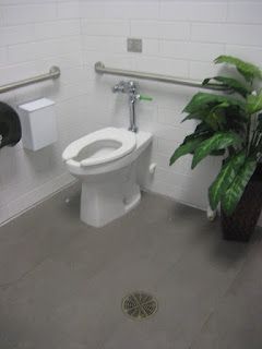 A public restroom with a toilet, grab bars, and a plant. Grey floor, white walls.