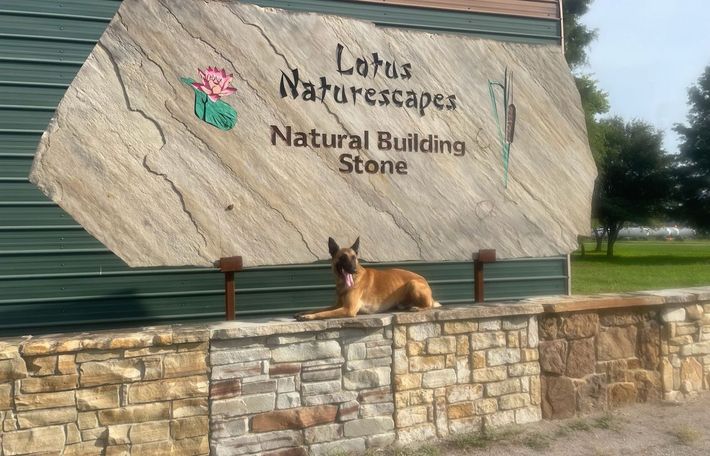 Lotus Naturescapes sign with dog sitting in front