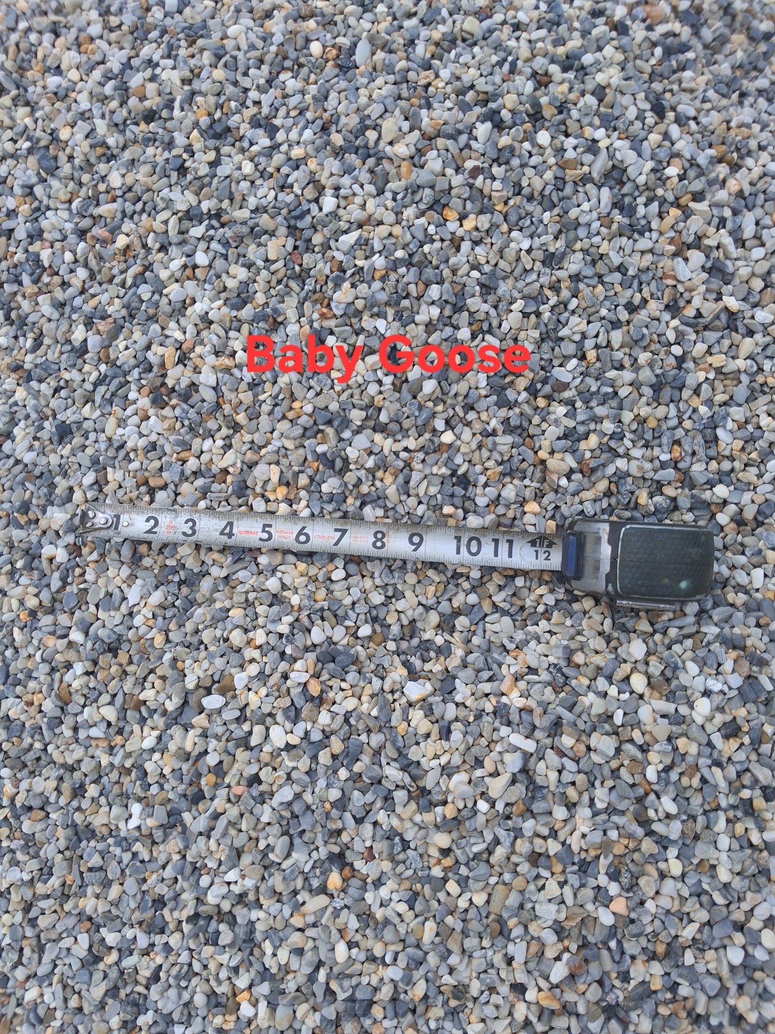 A pile of gravel is sitting on the ground.