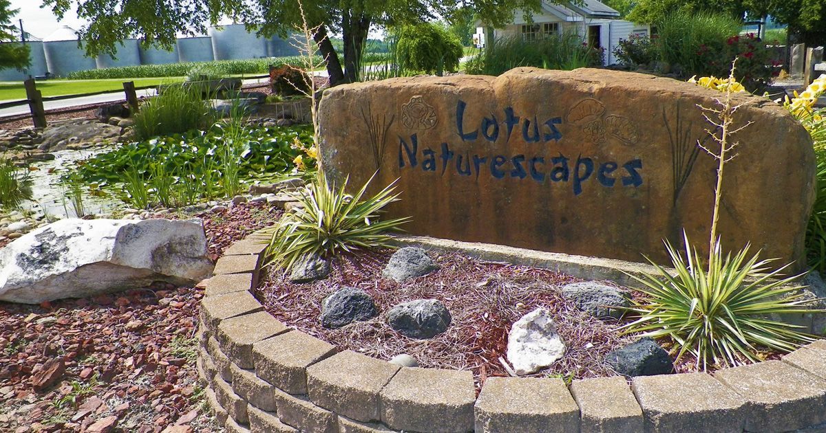 Lotus Naturescapes cover