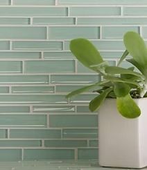 A potted plant with large green leaves sits in front of a light blue, rectangular tile backsplash.
