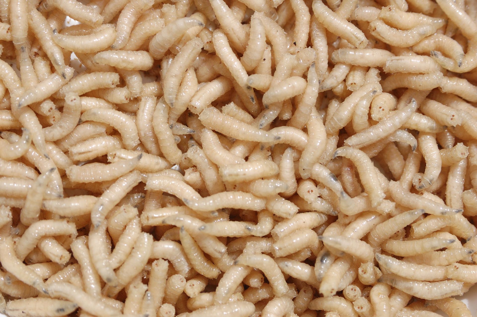 grub control
