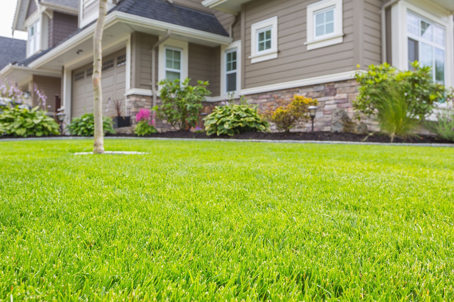 Lush green lawn in front of a beige house with stone accents and a well-manicured garden.