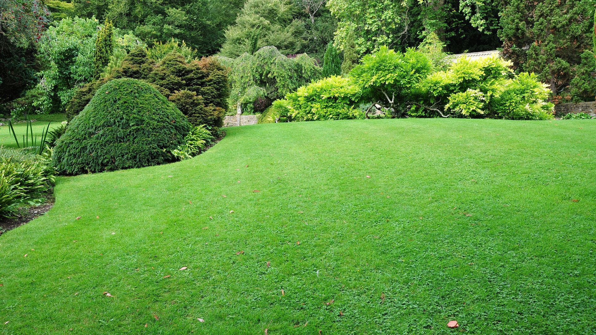 Lush green lawn with neatly trimmed shrubs and a backdrop of trees.