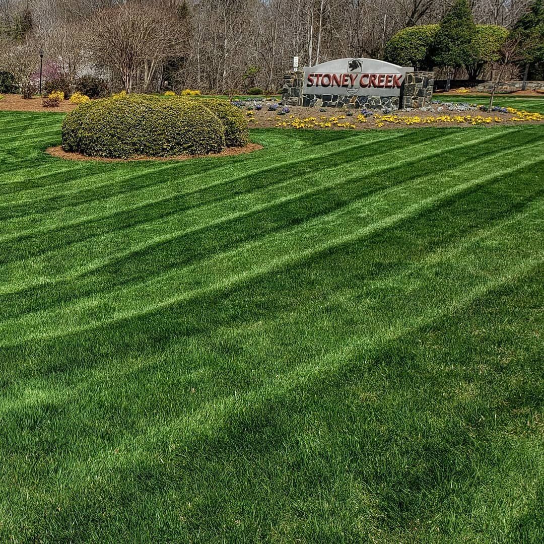 Lawn with striped mowing pattern, sign for 