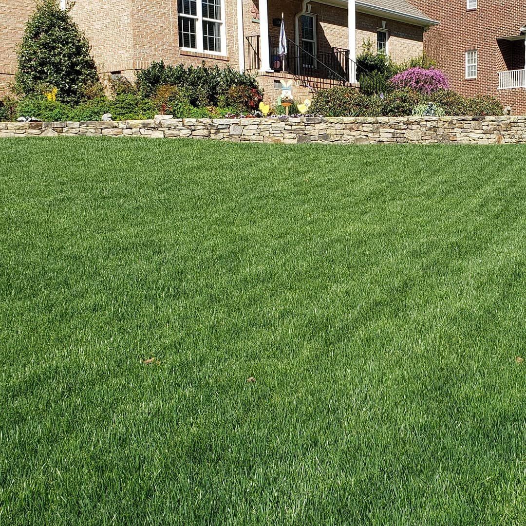Lush green lawn in front of a brick house with manicured garden beds and flowers.