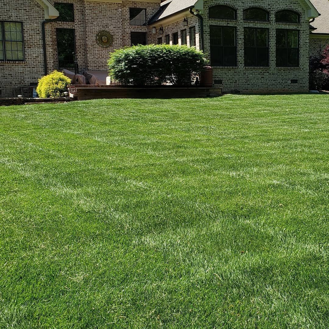 Green lawn in front of a brick house, with shrubbery and window detail visible.