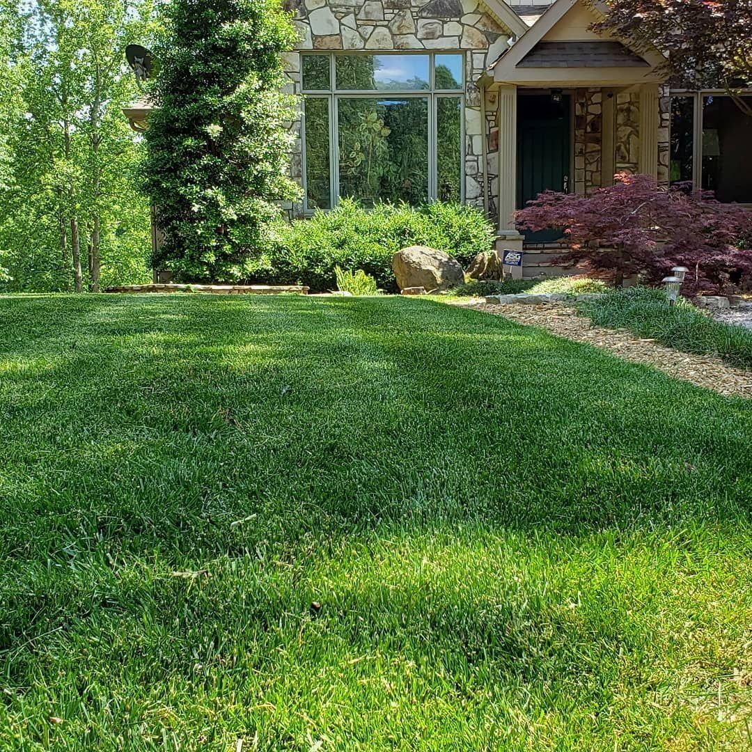 Lush green lawn in front of a house with stone siding, windows, and a small front garden.