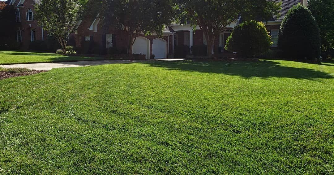 Green lawn in front of a house with trees and a driveway under a bright sky.