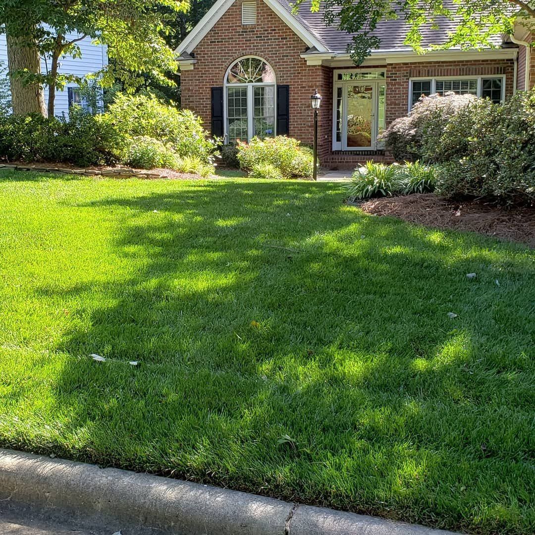 Green lawn in front of a brick house with shrubs and a sunny day.