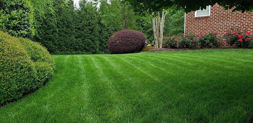 Lush green lawn with striped mowing lines, a brick house, and manicured landscaping.