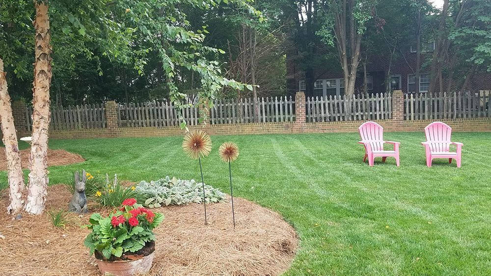 Lush green backyard with birch trees, pink chairs, and a decorative flower garden next to a wooden fence.