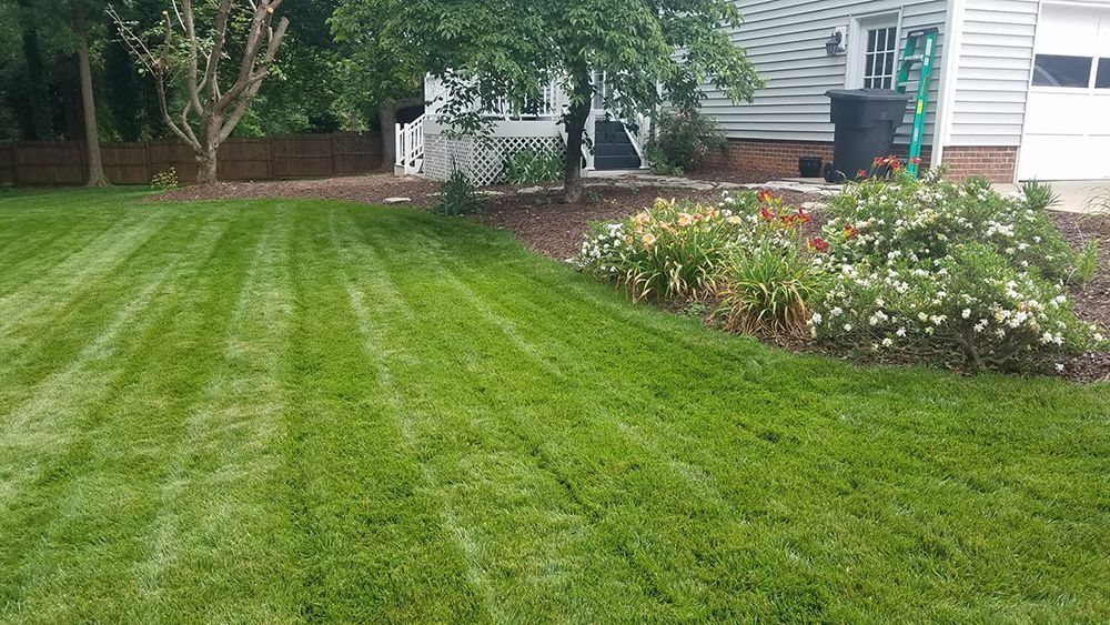 Lawn with freshly cut green grass, flower bed, and house with gray siding.