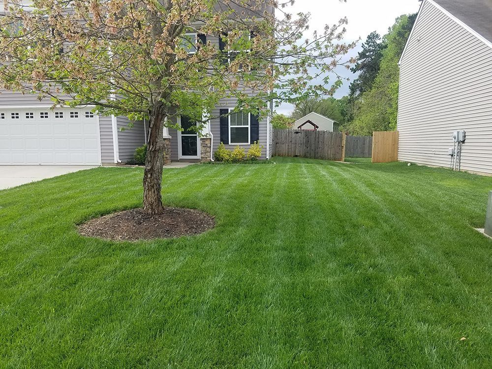 Green lawn in front of a gray house with a tree and striped mowing pattern.