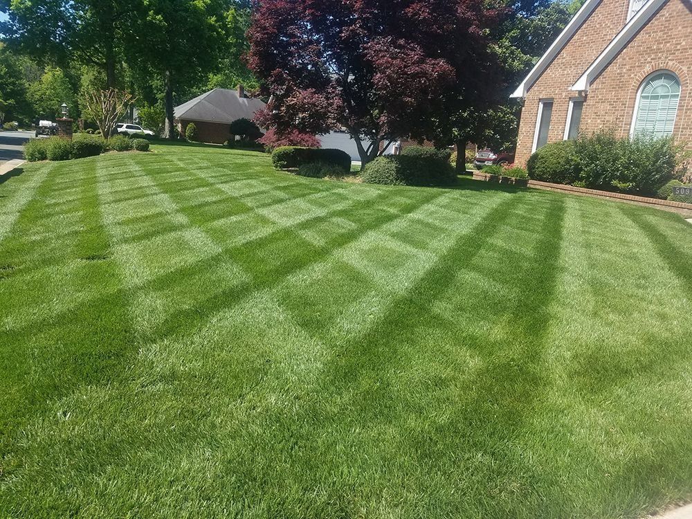 Lawn with a checkered mowing pattern in a suburban yard near a brick house and trees.