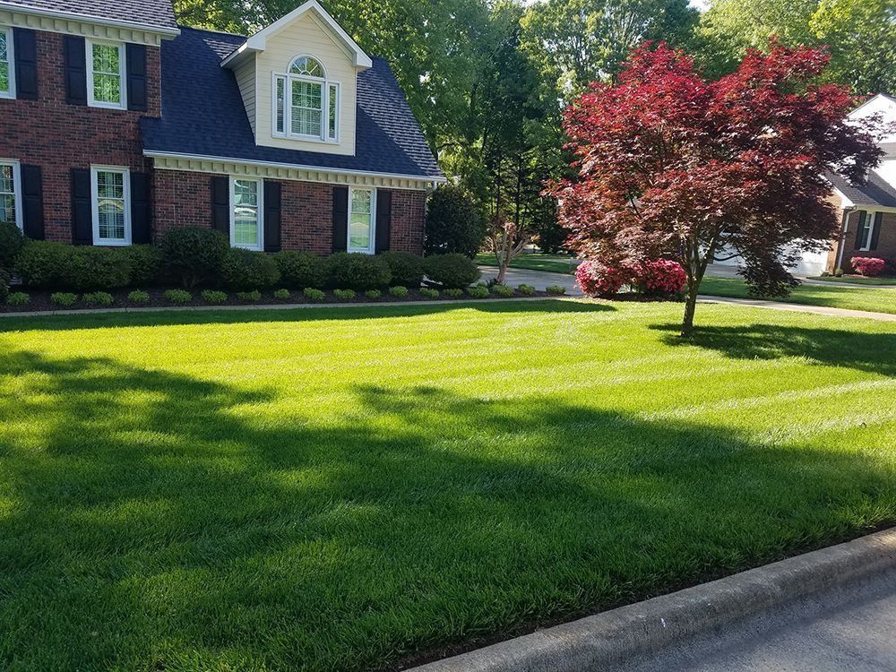 A well-manicured lawn in front of a brick house with a red-leafed tree on a sunny day.
